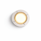 Halo Grid Ceiling Light