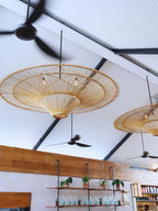 Marisol Rattan Saucer Chandelier