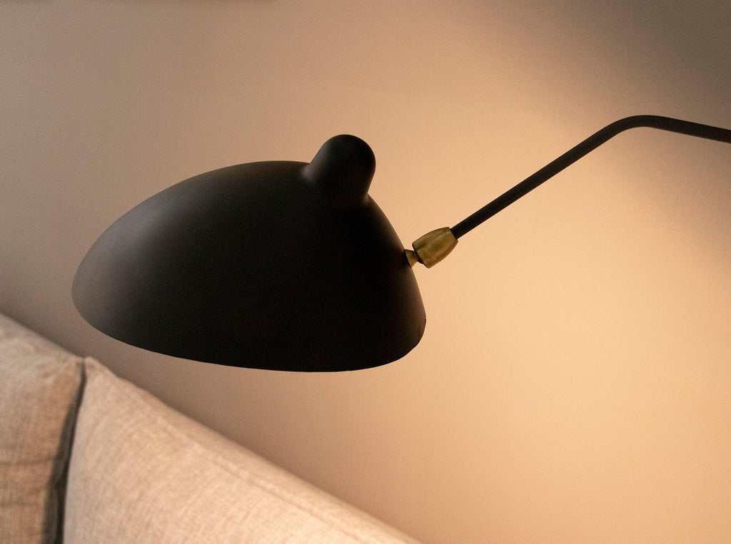 Versatile Arm Wall Sconce