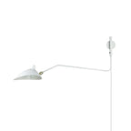 Versatile Arm Wall Sconce
