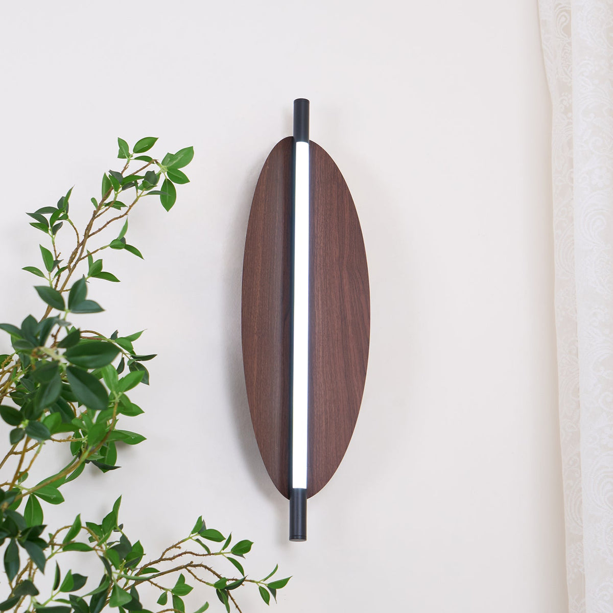 Sleek Board Sconce