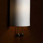 Benjamin Wall Light