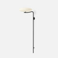 Arc Wall Lamp