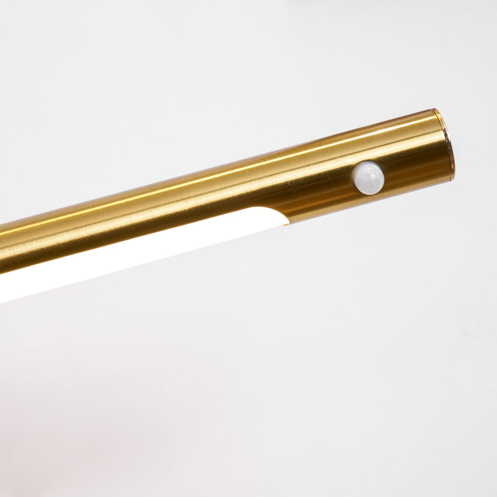 Stag Horn Wall Light
