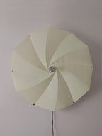 Bloom Petals Wall Lamp