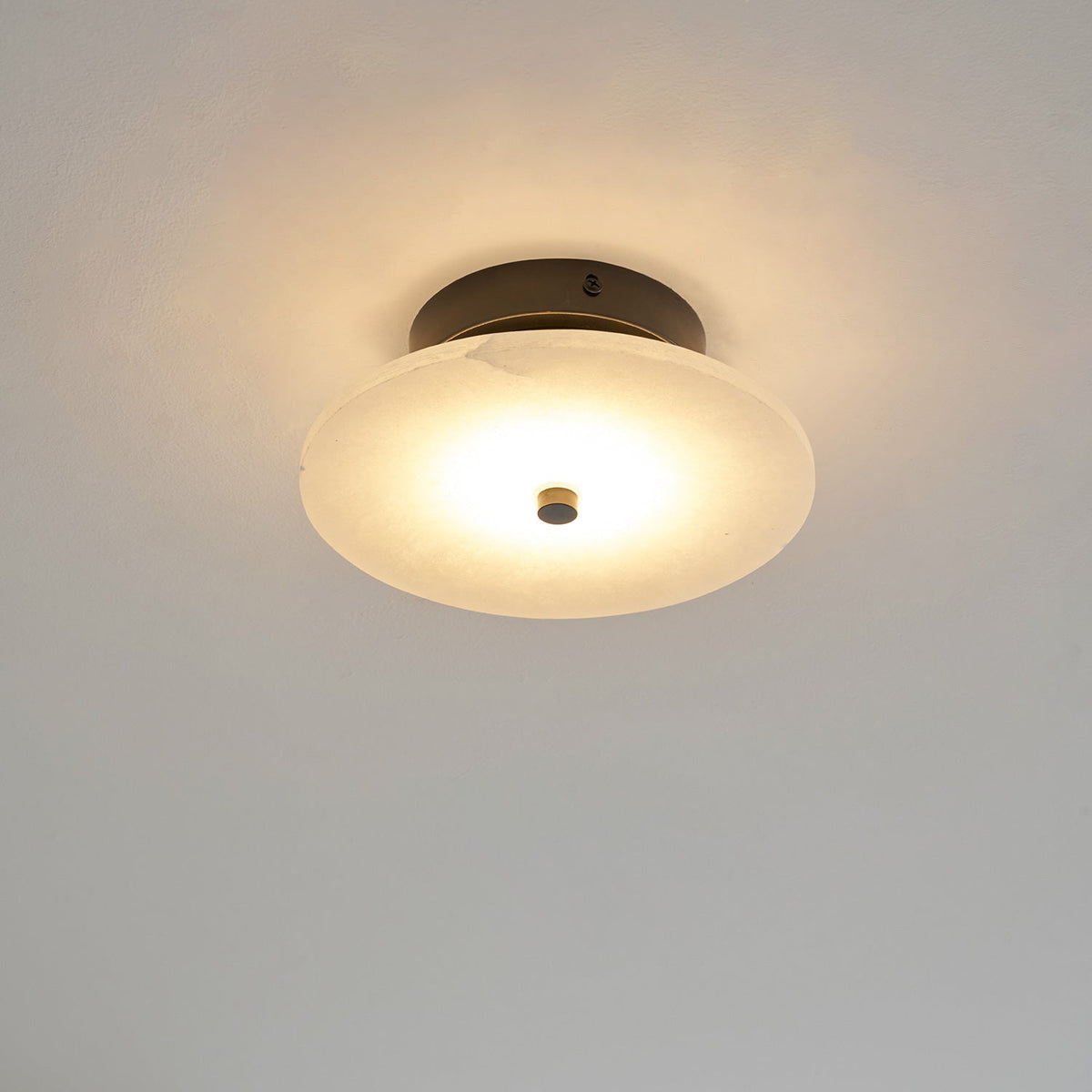 Ankeny Alabaster Ceiling Lamp