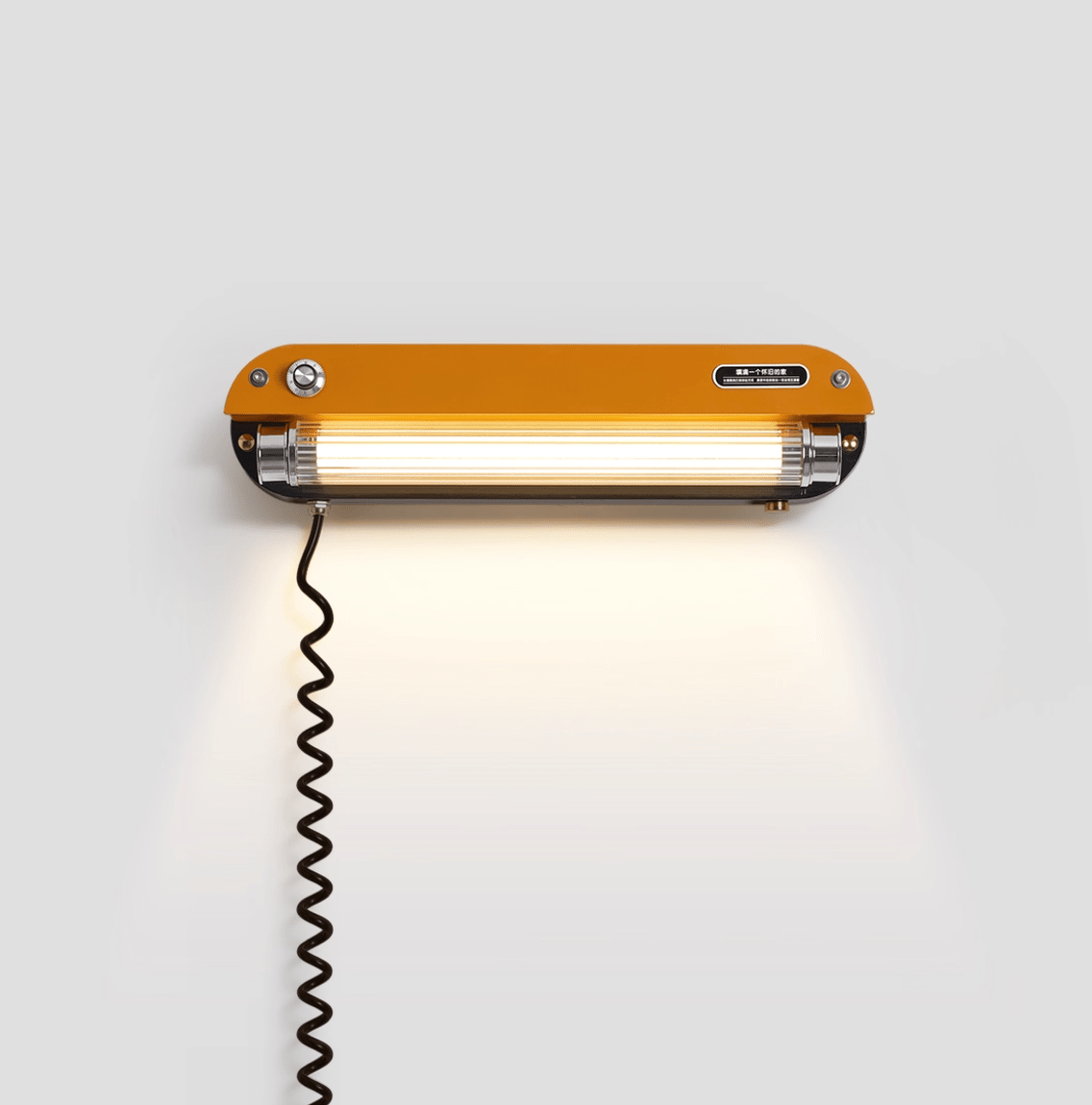 Edison Plug In Marlo Wall Lamp