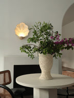 Shell Wall Sconce