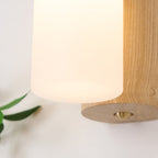 Arcus Wood Wall Lamp