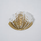 Art Deco Scallop Wall Light