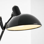 Maxon Adjustable Spring Wall Lamp