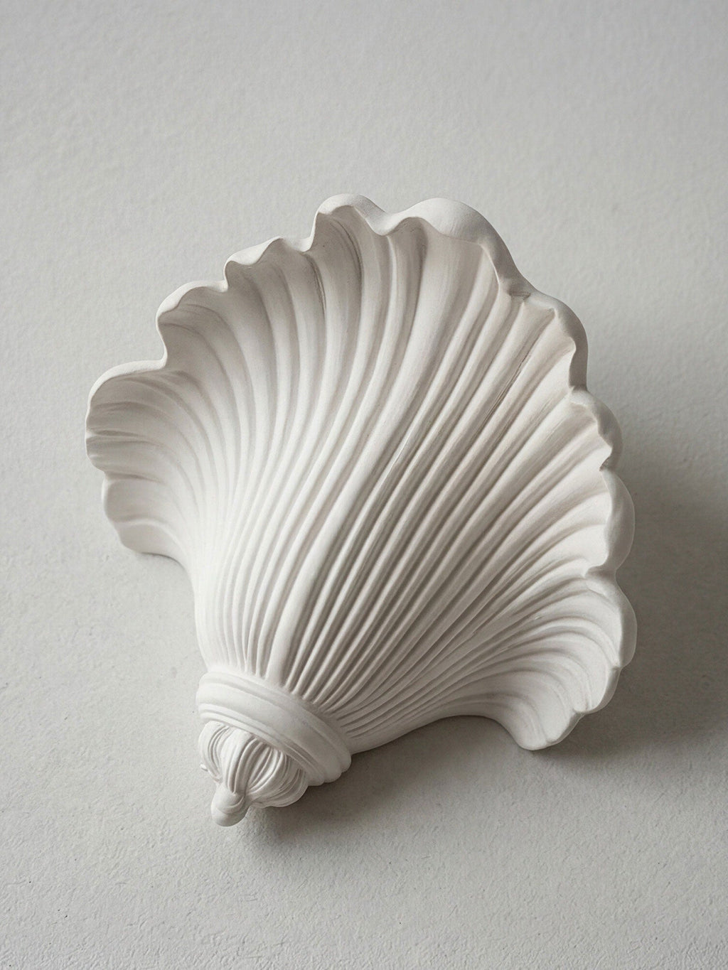 Marisca Shell Wall Sconce